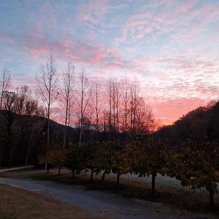 Can Torrotes Guest House La Vall de Bianya Exterior photo